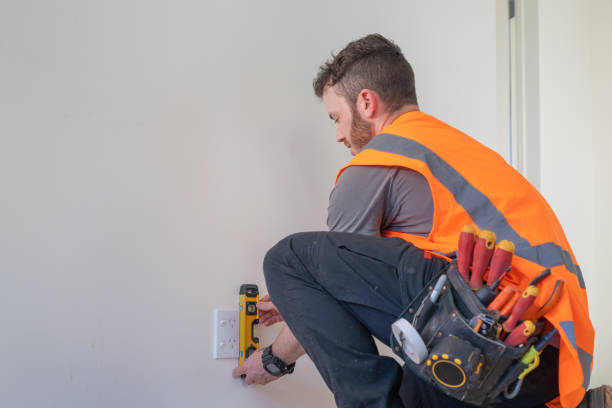 Best Electric Panel Repair  in Fredonia, KS